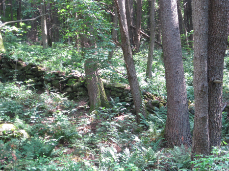 Dudleytown Ghost Town